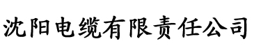 91香蕉苹果安装电缆厂logo